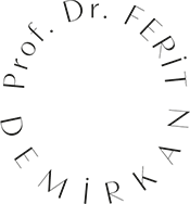 Prof. Dr. Ferit Demirkan